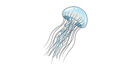 Vector illustration of a jellyfish with transparent tentacles on white background © Nandar