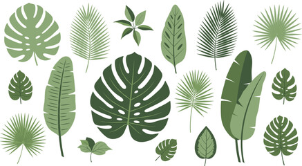 Naklejka premium Flat Vector Illustration Set of Various Tropical Green Leaves and Exotic Jungle Foliage Including Monstera Palm Fronds Banana Leaves and Ferns