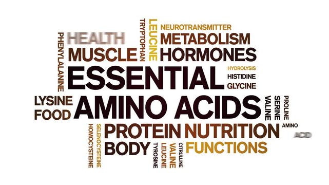 Essential Amino Acids animated word cloud-text design animation tag kinetic typography seamless loop.