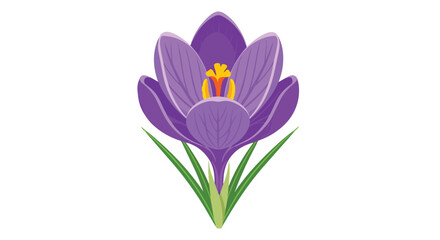 Fototapeta premium A radiant purple crocus flower blossom in full bloom, depicted in clean, stylized vector art, symbolizing nature's vibrant rebirth and the essence