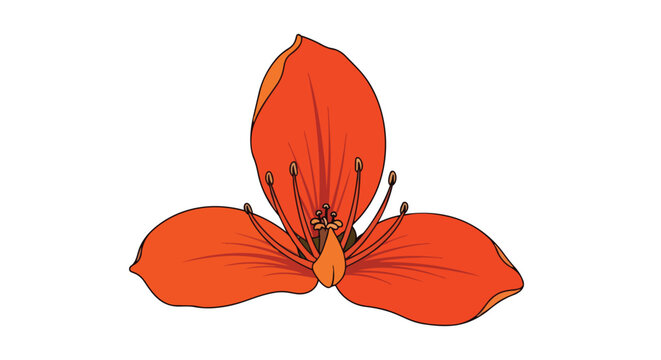 Vibrant three-petal tropical bloom illustration on a clean white background depicting natural beauty and floral design elements.