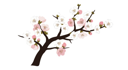 Elegant illustrated branch adorned with delicate pink and white spring blossoms.