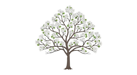 Obraz premium Elegant spring tree illustration with delicate white blossoms and fresh green leaves on a pristine background
