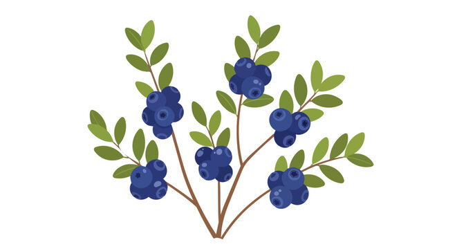 A delightful vector graphic portraying a vibrant blueberry plant, showcasing numerous clusters of deep indigo berries amidst fresh green leaves,