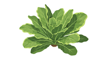 Fototapeta premium Vibrant green leafy vegetable illustration for healthy eating and organic lifestyle concepts