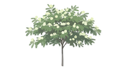 Obraz premium An elegantly drawn botanical illustration depicting a healthy tree bursting with verdant green leaves and numerous clusters of delicate white