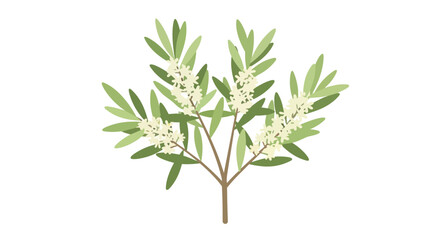 Fototapeta premium A precisely rendered digital illustration of a flowering plant branch featuring a delightful array of verdant green leaves and delicate white