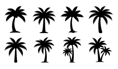 Fototapeta premium Black palm tree silhouette icon set with coconut and tropical summer logo symbols isolated on white background vector design