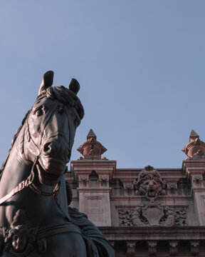 Estatua ecuestre con caballo de bronce oxidada de carlos iv en el munal en angulo contrapicado