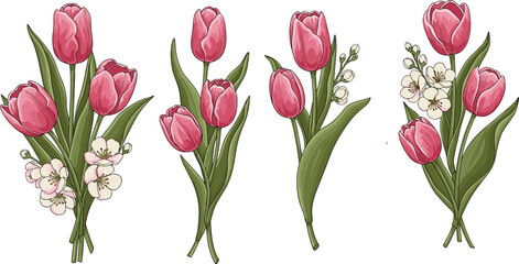 Obraz premium Pink tulip flower bouquet vector set, spring floral illustrations, botanical design elements, isolated on white background, decorative nature wedding collection