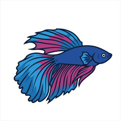 Fototapeta premium Illustration vector of a male betta fish