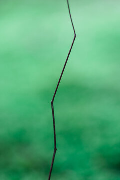 abstrait en macro minimaliste