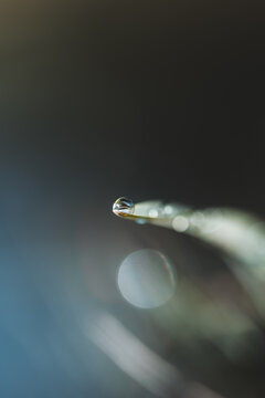 Goutte d&rsquo;eau suspendue en macro minimaliste