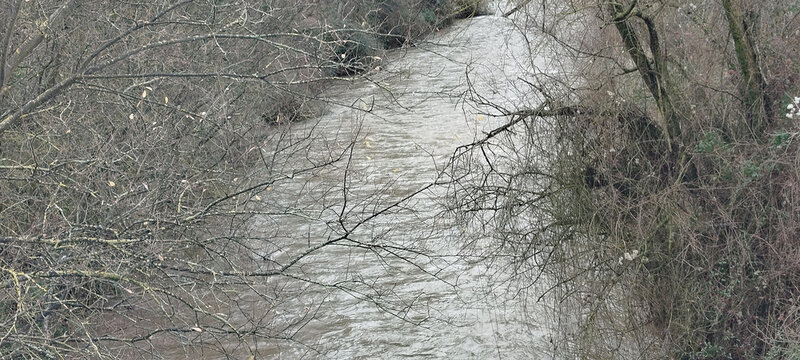 Vista a&eacute;rea de la corriente de un r&iacute;o fluyendo entre ramas secas y vegetaci&oacute;n de ribera en invierno