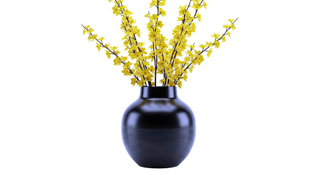 Black vase with yellow forsythia branches