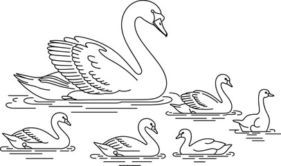 Swan family outline illustration, swans swimming on water, elegant bird line art wildlife vector drawing nature animal collection © Creatives Art