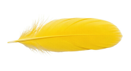 Bright yellow feather isolated PNG on transparent background, soft plumage element for graphic design and creative projects © Jn