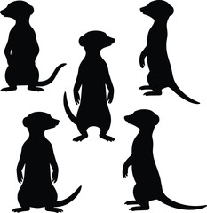 Meerkat silhouette set standing upright poses isolated on white background black animal vector illustration for wildlife logo education design © PROTAP