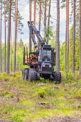 Obraz premium Forwarder with logs in a pine forest