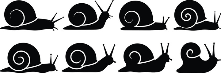 Snail silhouette icon set featuring cute crawling snails in black vector style for nature, ecology, education, and decorative design projects © MSTAYESHASIDDIKA