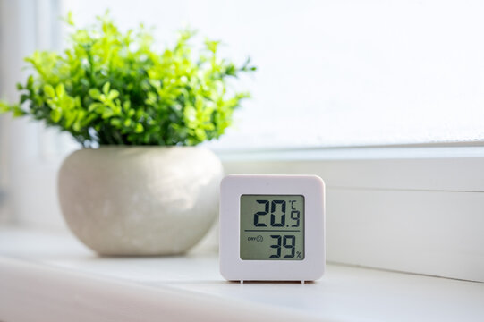 Digital hygrometer and thermometer showing temperature and humidity levels on a windowsill next to a houseplant