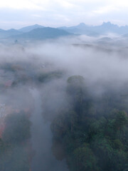 Fototapeta premium Majestic mist envelops the lush landscapes of Khao Sok in Surat Thani, Thailand during dawn