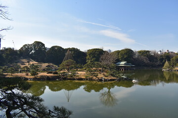 Obraz premium 清澄庭園