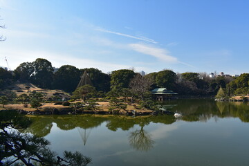 Fototapeta premium 清澄庭園