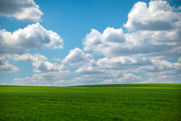Grassland sky clouds vibrant green field under clear blue summer weather
