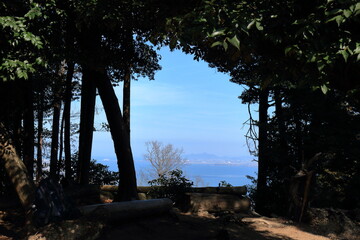 長等山山頂付近の茂みと琵琶湖の風景