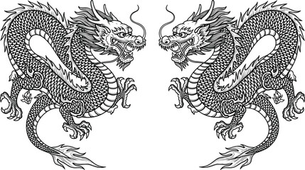 Detailed black and white vector illustration of two traditional Chinese imperial dragons facing each other in a symmetrical oriental style for lunar new year.
