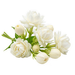 Fototapeta premium Elegant bouquet of white roses in delicate bloom against a plain background