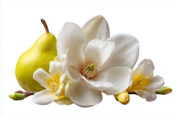 Naklejka premium Fresh green pear with white magnolia flowers and buds