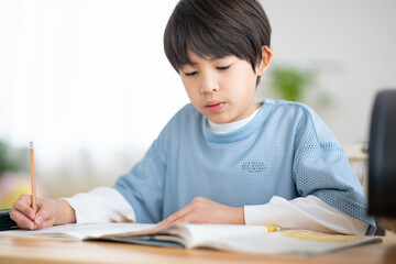 自宅で勉強をする男の子 © milatas