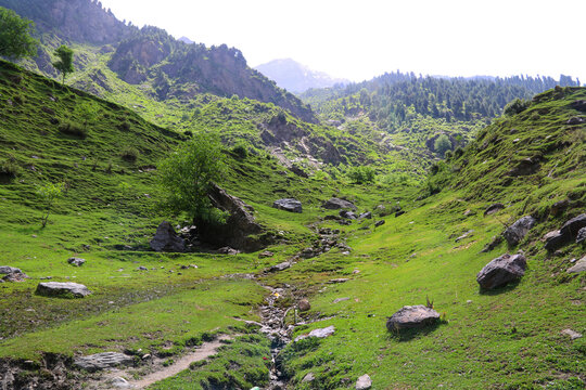 Beautiful scenic landscape of Lalazar Meadows located in the Naran Kaghan Valley of northern Pakistan. This breathtaking natural view features lush green meadows, rolling hills