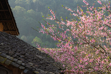 Pink blossoms beside traditional tiled roof with forested hillside background.