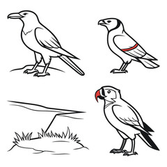 Fototapeta premium Four different types of birds illustrated in a simple, black and white style. Vector