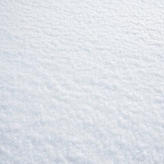 Obraz premium Expansive snowy landscape with soft textured snow under pale light.