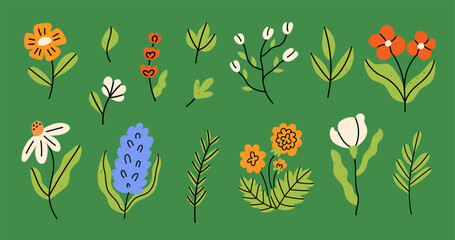 Spring and summer flowers and leaves