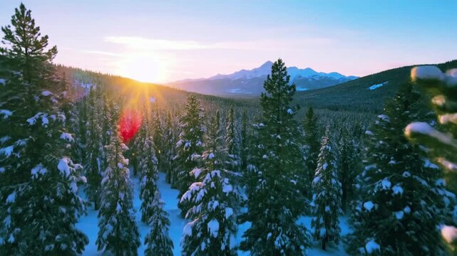 Golden Cascade in the Frozen Forest