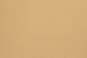 Fototapeta premium Beige Tan Paper Texture Background with Natural Grain Pattern Copy Space Design Template