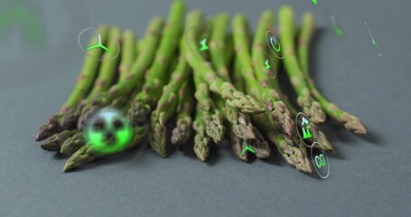 Obraz premium Showing bundle of asparagus spears lying flat on studio tabletop, with neon green holographic icons