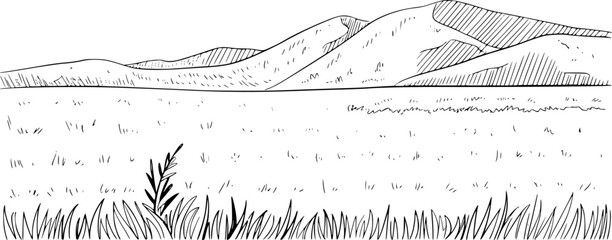 Fototapeta premium Hand Drawn of Rolling Hills and Grassy Field White Background landscape nature