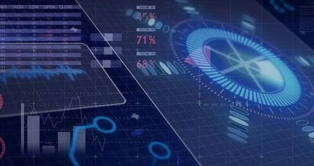 Fotobehang Vlees Displaying large circular radial gauge glowing on right of HUD, with TESTING PM percent readouts  © vectorfusionart