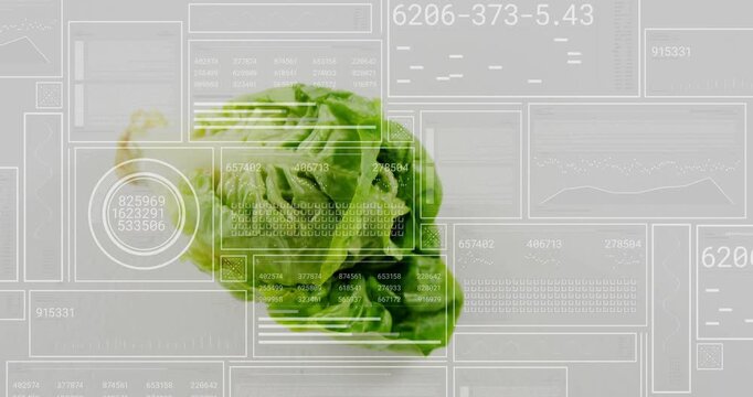HUD panels sliding causing lettuce shifting rotating while values updating showing freshness data