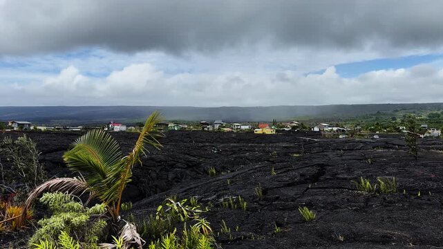 Static view of black lava fields with vegetation regrowth and houses in Kalapana