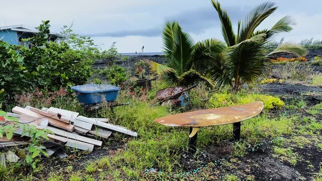 Fixed shot of surfboard, tools and vegetation growing on lava in Kalapana, Hawaii