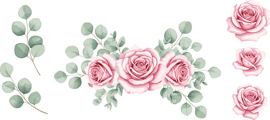 Elegant pink rose floral arrangement with eucalyptus leaves isolated on white background romantic watercolor botanical vector illustration set © Mostafijur