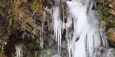Stunning icicles form on rocky cliff face amidst winter forest scenery
