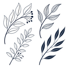 Obraz premium A collection of four different types of leaves, each with unique shapes and details. Vector